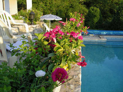 the terrace